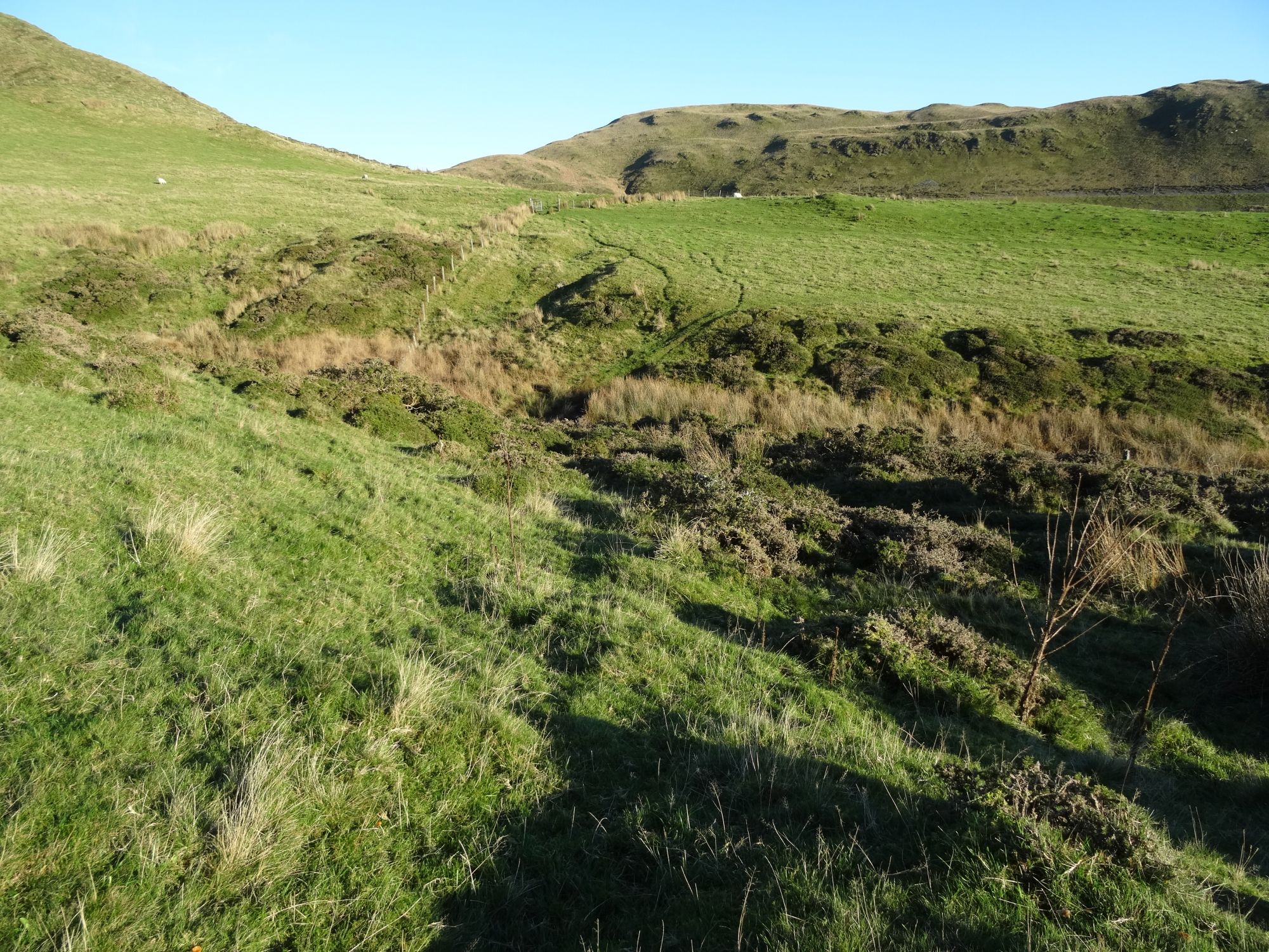 RachelSeabrook.net | Wild Walking | Moel y Llyn | pic34